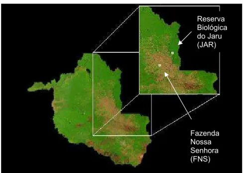 Figura 4. Localização dos sítios experimentais no Estado de Rondônia.  Fonte: Embrapa (2007)