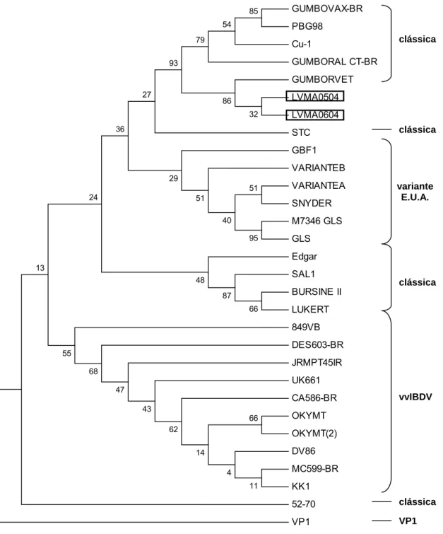Figura 5. Dendograma mostrando a localização filogenética dos isolados de  IBDV (LVMA0504 e LVMA0604) obtidas a partir do alinhamento de 211  nucleotídeos (842 a 1053) do gene que codifica a proteína VP2 do capsídeo  viral
