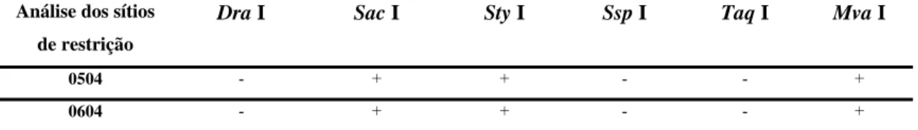 Tabela 4. Avaliação da presença de sítios para enzimas de restrição nas  seqüências de nucleotídeos analisadas dos isolados de IBDV LVMA 0504 e  LVMA0604