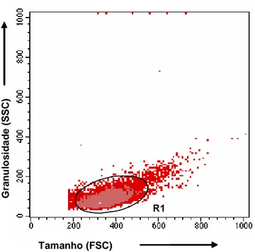 Figura 1. Perfil dos leucócitos periféricos bovinos (PBL) analisado pelo tamanho  versus a granulosidade