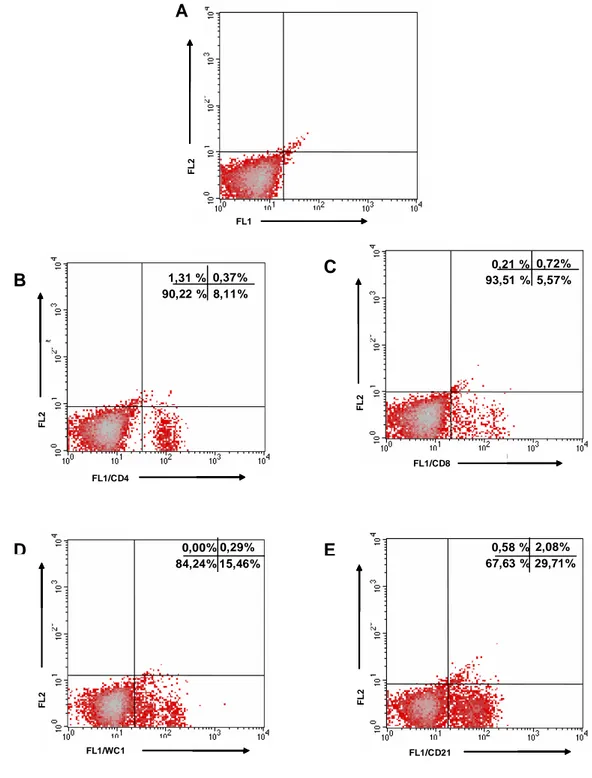 Figura 2. Representação gráfica do percentual das sub-populações de linfócitos T e  da população de linfócitos B de PBL bovino obtido através da fluorescência FL1 por  fluorescência FL2