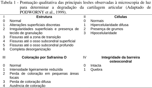 Tabela 1 - Pontuação qualitativa das principais lesões observadas à microscopia de luz  para determinar a degradação da cartilagem articular (Adaptado de  PODWORNY et al., 1999)