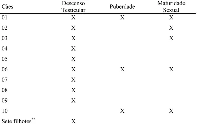 Tabela 1 – Relação dos animais utilizados (X) nas avaliações do descenso  testicular, da puberdade e da maturidade sexual 
