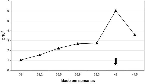 Figura 8 – Gráfico das mudanças nos valores médios do número total de  espermatozóides no ejaculado  ( ─♦─),  no período pós-puberal até a  maturidade sexual de cães da raça Retriever do Labrador