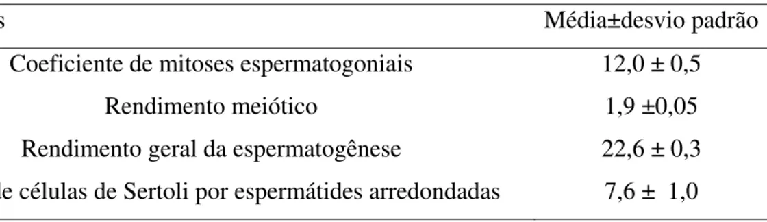 Tabela 2- Rendimento intrínseco da espermatogênese e índices de células de Sertoli em  lobos-guarás adultos