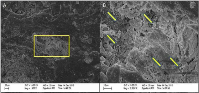 Figura 4: Micrografia da amostra 60HAP/40PCL obtida a partir da microscopia eletrônica de varredura.(A)  Presença  de  cristais  de  hidroxiapatita  sobre  a  matriz  lisa  de  PCL  (retângulo  amarelo)  em  aumento  de  500x e (B) aumento de 2000x, detalh