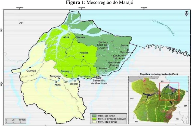 Figura 1: Mesorregião do Marajó 