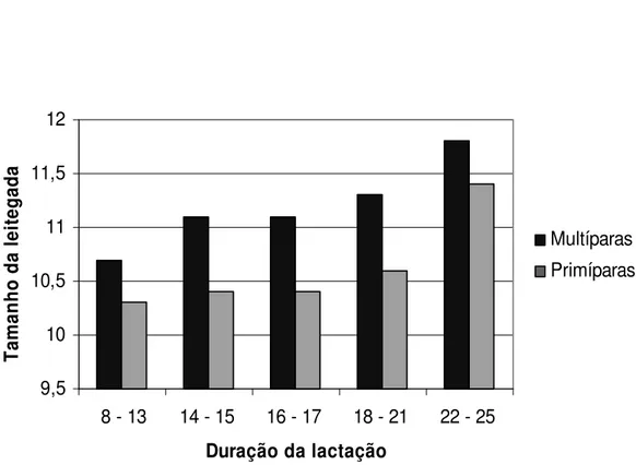 Figura 2 – Tamanho da leitegada (TL) nas fêmeas multíparas e primíparas,  distribuídas quanto ao período de lactação
