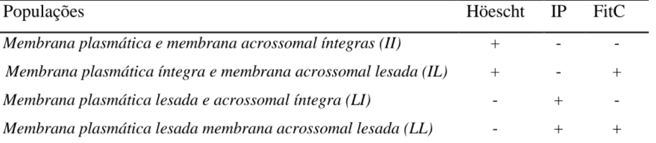 Tabela 1 - Populações de espermatozoides identificadas pela associação das  sondas Höescht, IP e FitC - PSA 