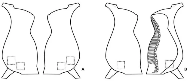 Figura 1. Localização dos pontos de coleta de amostras superficiais em carcaças bovinas  (quadrados com linhas pontilhadas) na calha de sangria e após esfola (A, representando a  carcaça inteira, de ambos os lados), e após evisceração/separação das carcaça