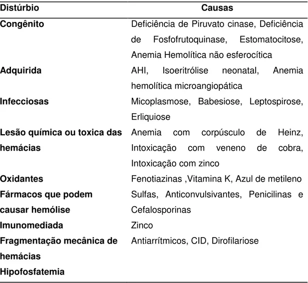Tabela 04: Causas de anemia hemolítica em cães. 