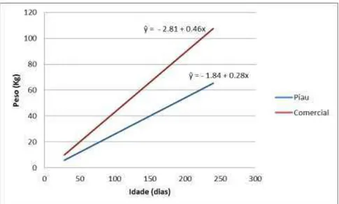 Gráfico 1: Regressão entre peso e idade em marrãs de raça Piau e linhagem 