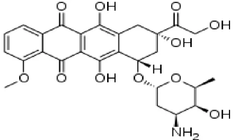 Figura  2:  Estrutura  química  da  doxorrubicina  (C27H29NO11).  Em  evidência,  os  anéis  de 