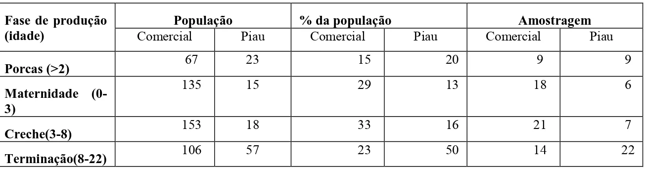 Tabela  1.  População de cada raça, porcentual  amostrado e quantidade de  indivíduos a  serem amostrados em cada fase de produção dos dois grupos genéticos