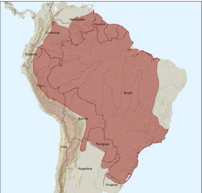 Figura  01.  Distribuição  geográfica  da  espécie  Nasua  nasua  na    América  do  Sul  (área destacada em vermelho) (IUCN, 2011)