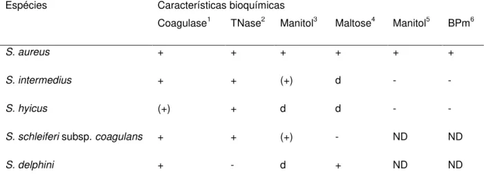 Tabela  1.  Características  bioquímicas  de  espécies  de  Staphylococcus  coagulase-positiva  (Modificado de Roberson, Fox, Hancock, Besser, 1992)