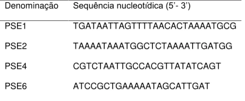 Tabela  5.  Sequência  nucleotídica  dos  oligonucleotídeos  desenhados  por  Letertre  et  al