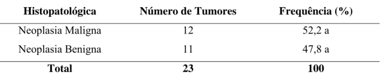 Tabela 5 - Distribuição dos resultados em relação ao tumor de mama, segundo  classificação histopatológica, Hospital Veterinário, DVT/UFV, março a agosto de  2005