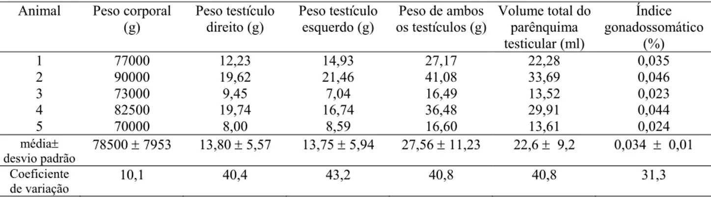 Tabela 1. Peso corporal, peso testicular e índice gonadossomático de onças-pintadas  adultas