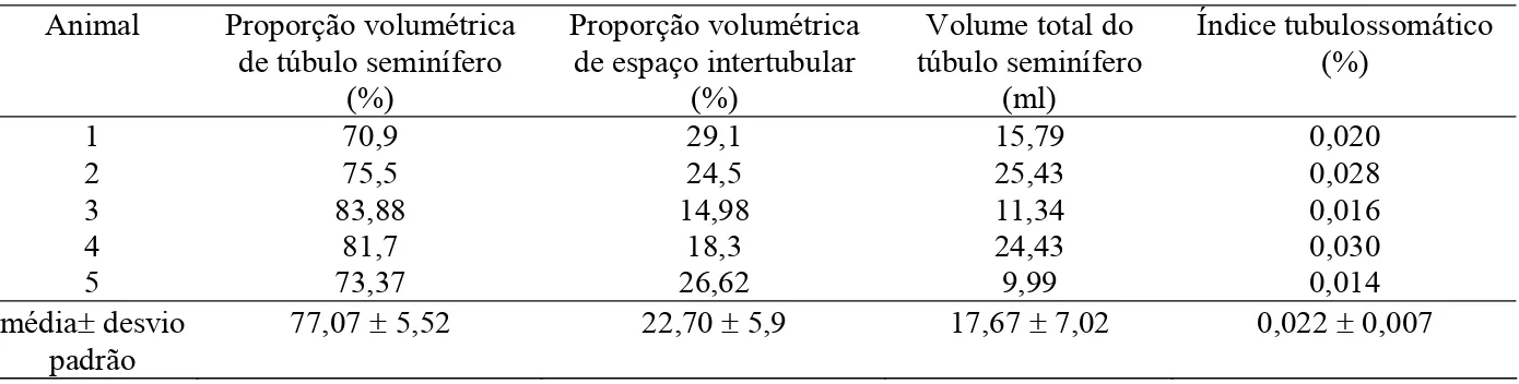 Tabela 2. Proporção volumétrica dos componentes do parênquima testicular, volume total  de túbulo seminífero e o índice tubulossomático de onças-pintadas adultas