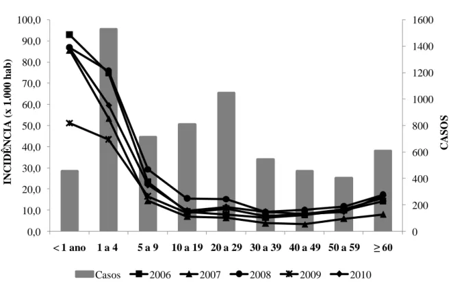 Figura 6 - Incidência dos casos de DDA notificados segundo a faixa etária, Viçosa-MG,  janeiro/2005 a dezembro/2011 