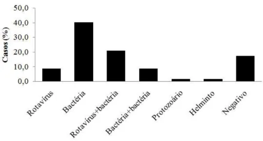 Figura 8  – Proporção dos casos de DDA que coletaram material fecal  segundo o grupo de enteropatógenos  identificados, Viçosa-MG, 2009-2011