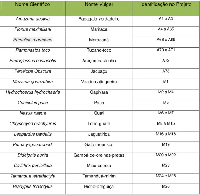 Tabela 1  – Lista de identificação dos animais no projeto de pesquisa. 