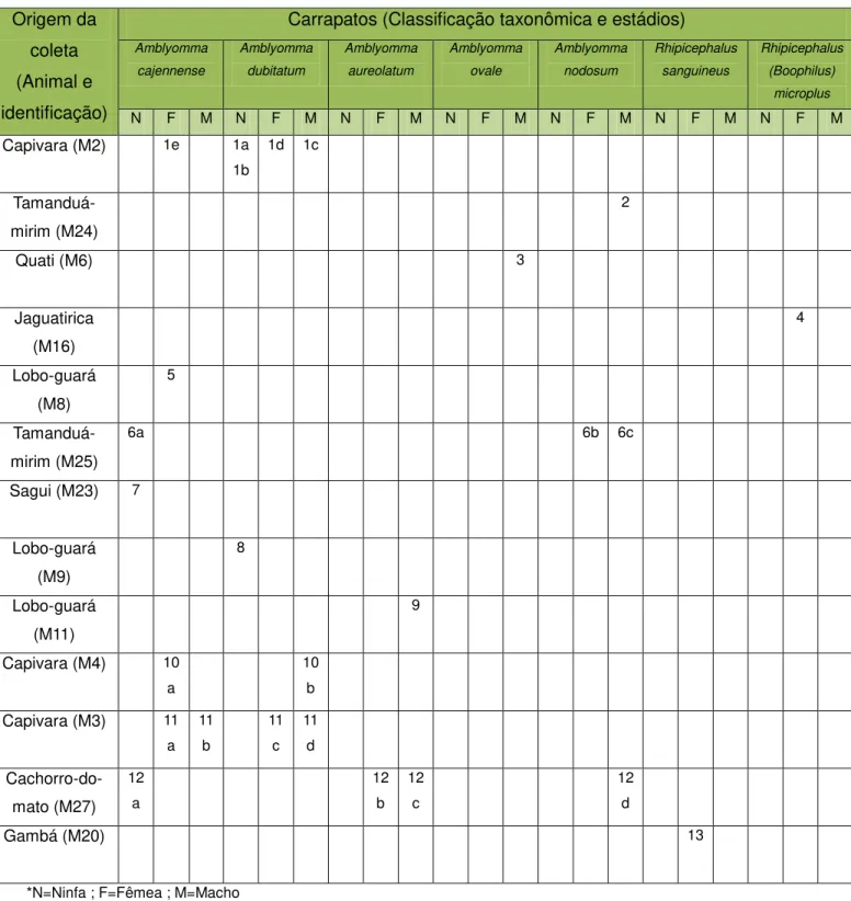 Tabela 2  – Lista de Identificação das amostras de carrapatos coletadas (pools).  Origem da 