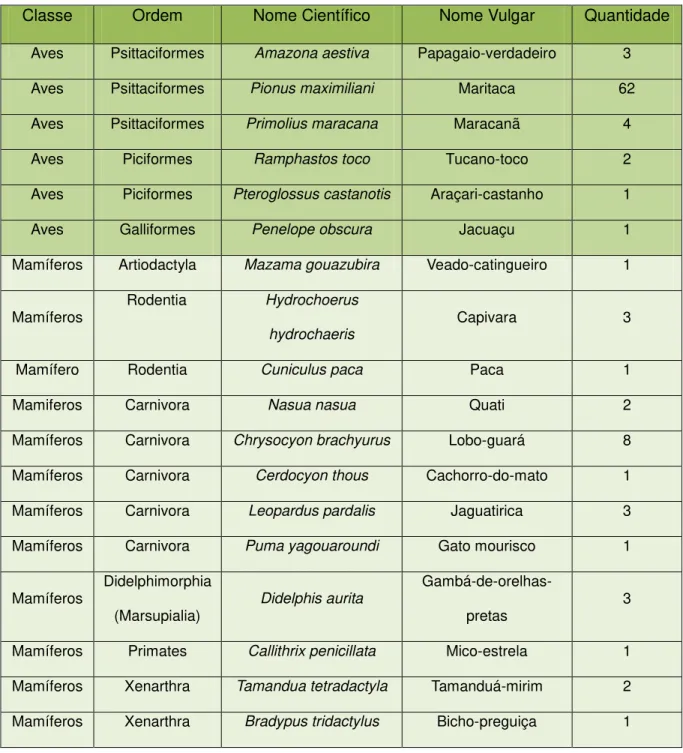 Tabela 4  – Lista dos animais silvestres que tiveram amostras coletadas, no CETAS-UFV