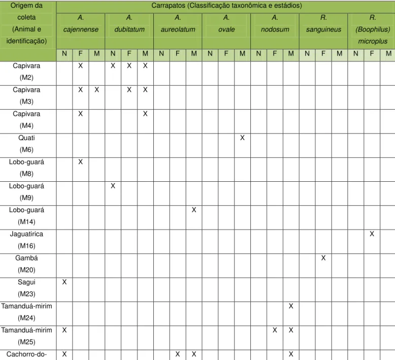 Tabela 5  – Origem e classificação taxonômica dos carrapatos coletados no CETAS-UFV. 