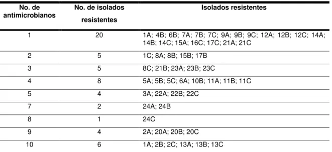 Tabela 1: Resistência simultânea aos antimicrobianos dos isolados de S. pseudintermedius