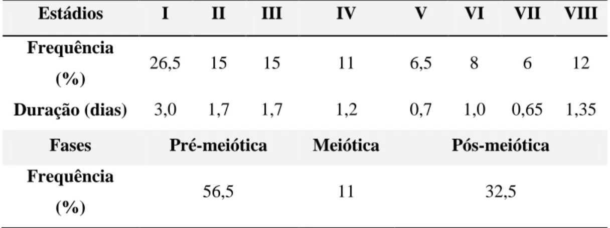 Tabela 1- Frequência relativa e duração de cada estádio e das fases do ciclo do epitélio  seminífero de jaguatirica (Leopardus pardalis)