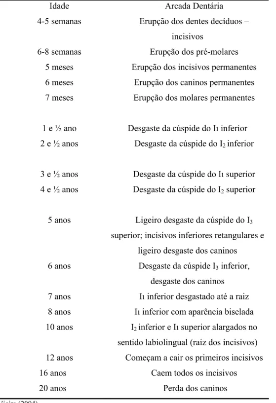 Tabela 1. Parâmetros da arcada dentária utilizados para estimar as idades dos cães. 