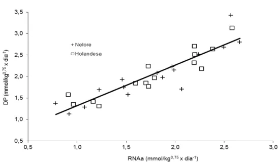 Figura 2 - Excreção de derivados de purina na urina (DP) em função do fluxo diário de RNA no  abomaso (RNA) em novilhas das raças Nelore e Holandesa  (Ŷ = 0,405 ±0,148  + 0,923 ±0,077  × X;  sXY = 0,219 )