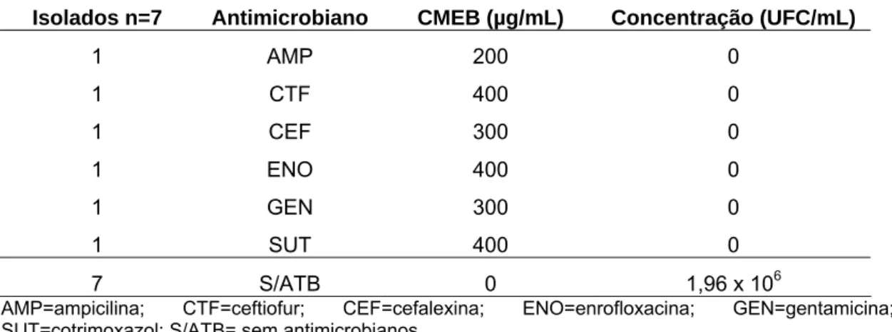 Tabela 8 -  Taxa de recuperação celular média de células sésseis de sete  isolados produtores de biofilmes de  Escherichia coli  provenientes de mastite  clínica.desagregadas das esferas de vidro submetidas às respectivas  concentrações mínimas de erradica