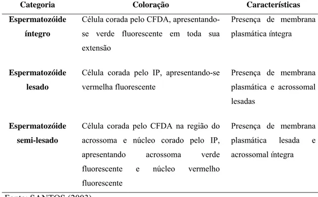 Tabela 2. Classificação dos espermatozóides, quanto a integridade da membrana  plasmática e acrossomal, submetidos a técnica de coloração com  diacetocarboxifluoresceína (CFDA) e iodeto de propídeo (IP)
