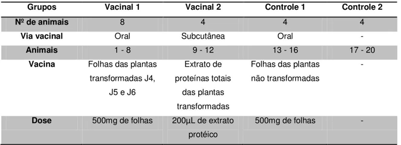 Tabela 4. Esquema de imunização. 