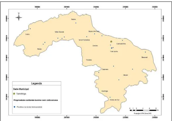 Figura 5. Visualização da localização das propriedades positivas para cisticercose  bovina no município de Tumiritinga, Minas Gerais