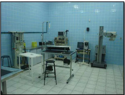 FIGURA  2  -  Instalação  do  Hospital  Veterinário  (DVT-UFV)  onde  se  realizou  algumas avaliações endoscópicas