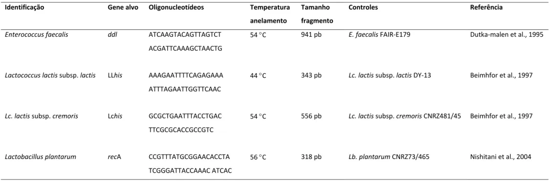 Tabela 2: Pares de oligonucleotídeos e condições de reações de PCR para identificação de algumas espécies de bactérias ácido láticas nos isolados  obtidos de leite cru e queijo frescal. 