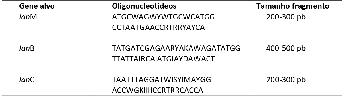 Tabela 3: Oligonucleotídeos utilizados em reações de PCR para detecção de genes associados à  produção  de  lantibióticos  em  isolados  de  bactérias  ácido  láticas  obtidos  de  leite  e  queijo  frescal. 