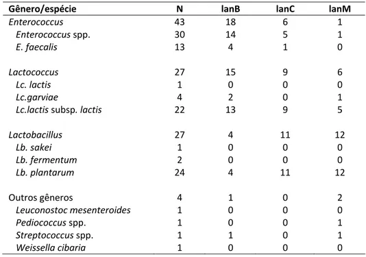 Tabela 7: Frequências de resultados positivos para os genes de lantibióticos lanB, lanC e lanM  obtidas por PCR em isolados de bactérias ácido láticas obtidos de leite cru e queijo frescal. 