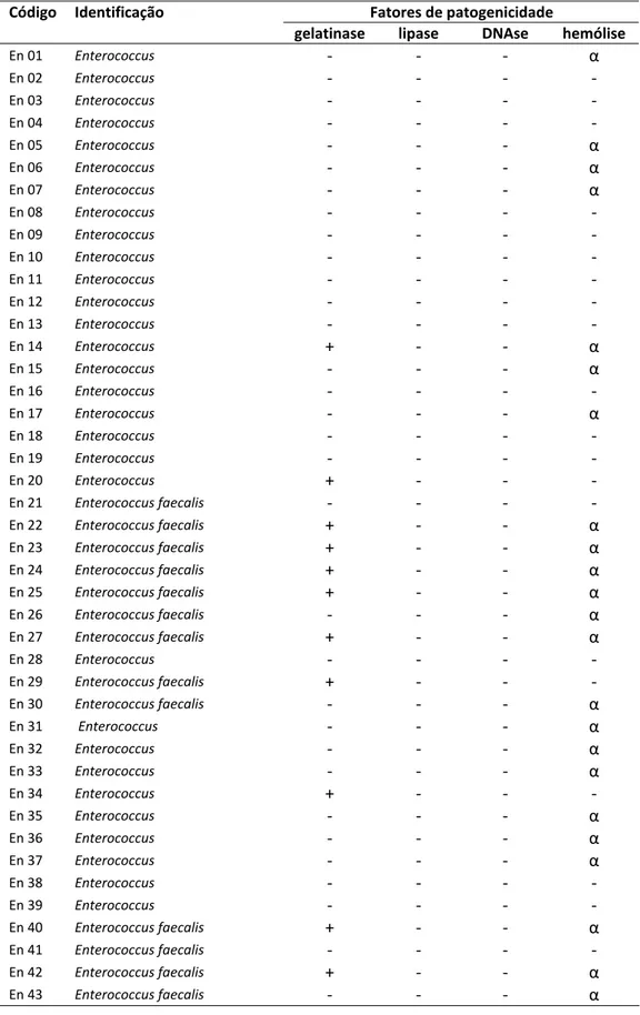 Tabela  11:  Apresentação  dos  resultados  de  fatores  de  patogenicidade  apresentados  pelos isolados de Enterococcus obtidos de leite cru e queijo frescal. 