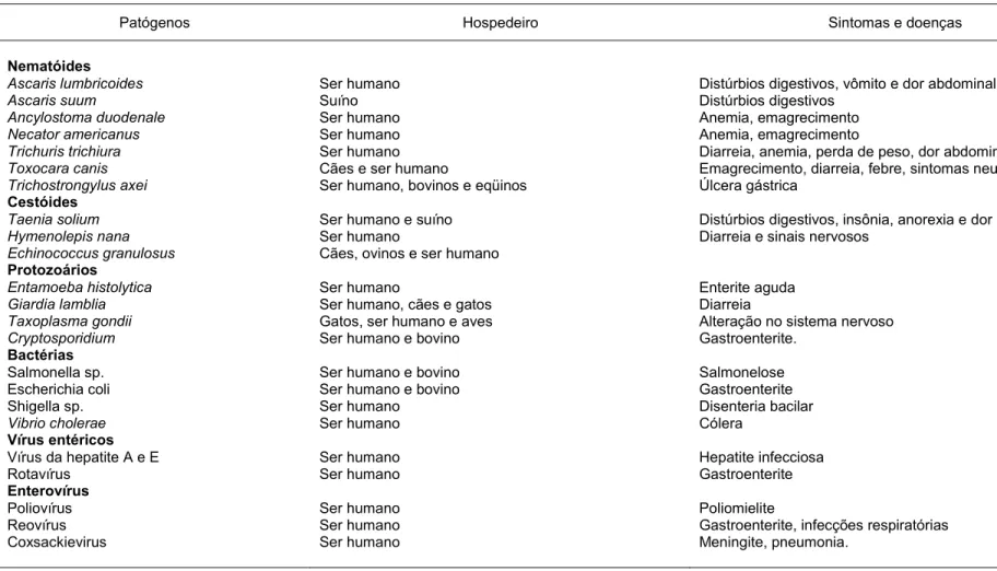 Tabela 3 – Patógenos encontrados em lodo de esgoto e principais sintomas e doenças 