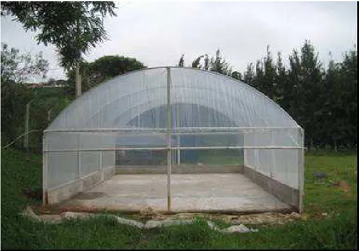 Figura 2 – Estufa agrícola para solarização de lodos, ETE Violeira, Viçosa, MG. 
