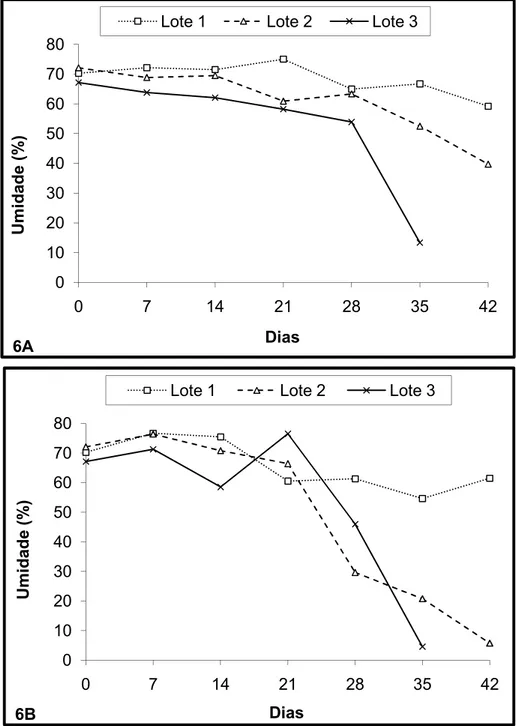 Figura 6 – Valores de umidade em biossólidos caleado (A) e solarizado (B), ao  longo do período de monitoramento