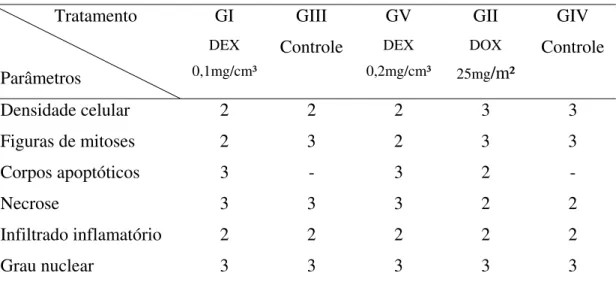 Tabela 4. Análise qualitativa dos parâmetros histológicos do tumor de Ehrlich              Tratamento  Parâmetros  GI  DEX  0,1mg/cm³  GIII  Controle  GV  DEX  0,2mg/cm³  GII  DOX  25mg/m²  GIV  Controle  Densidade celular   2  2  2  3  3  Figuras de mitos