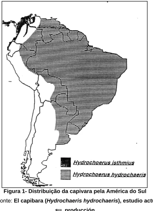 Figura 1- Distribuição da capivara pela América do Sul 