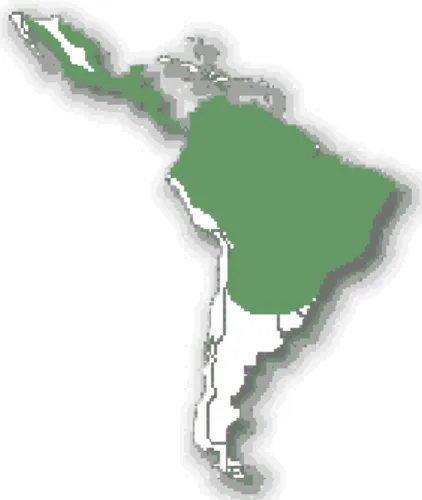 Figura 1: Área de distribuição da jaguatirica (No Extinction [NEX], 2008) 