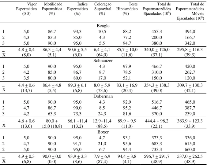 Tabela 1- Vigor, motilidade e índice espermático e porcentagem de células reativas ao teste de  coloração supravital e teste hiposmótico no sêmen fresco de cães da raça Beagle, Schnauzer,  Doberman e Boxer